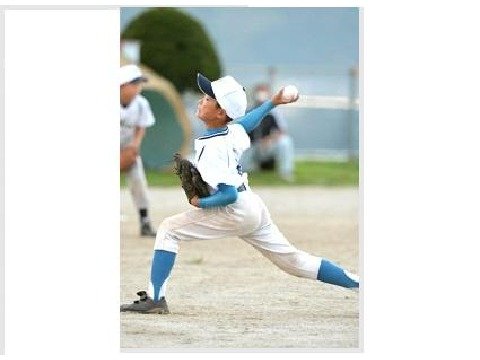 スポーツデータバンク株式会社 baseball-schoolPA05