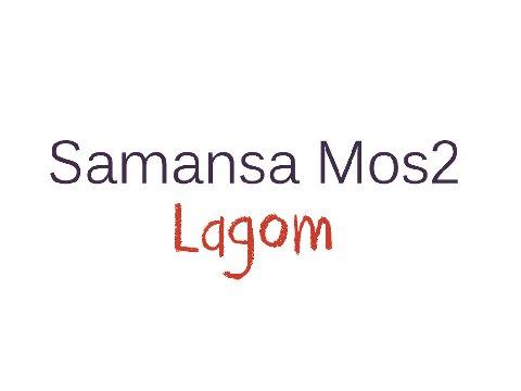 株式会社キャン SM2_Lagom-logo