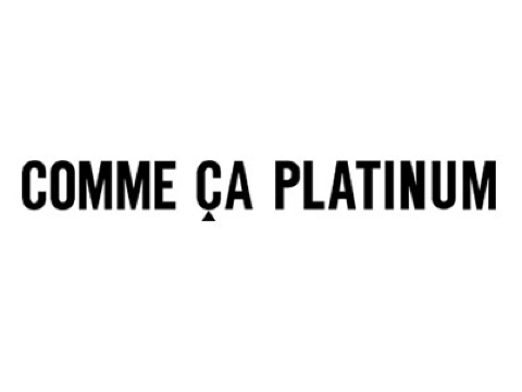 株式会社ファイブ・フォックス PLATINUM_logo