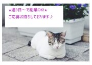 株式会社サンディスカバリー